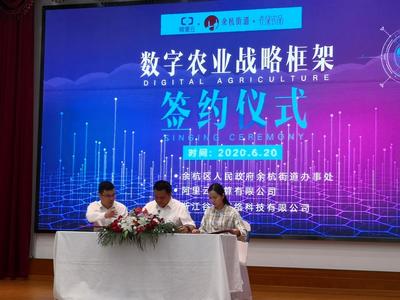 杭州余杭街道建设“稻香小镇” 助力集体经济增长