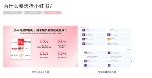 赛鲸科技洞察 对于小红书宠物行业,萌宠产品种草推广该怎么做